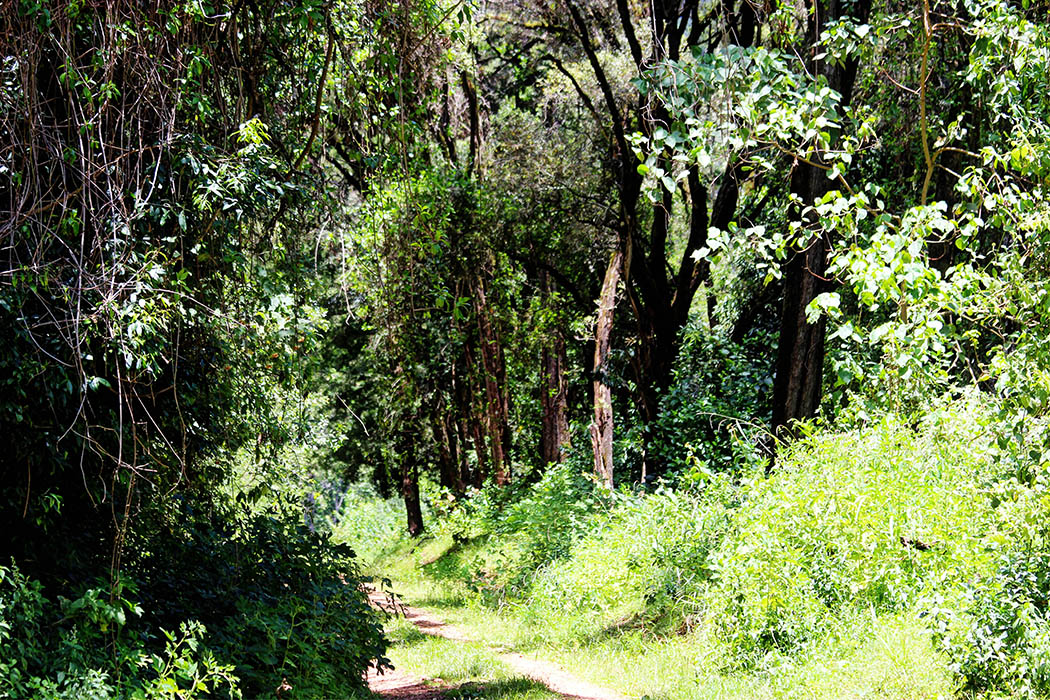 Attractions Around Mount Elgon National Park.