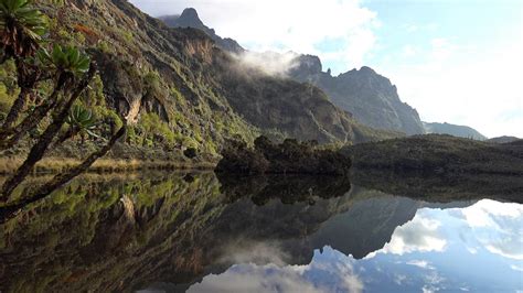 Rwenzori Mountain Peaks