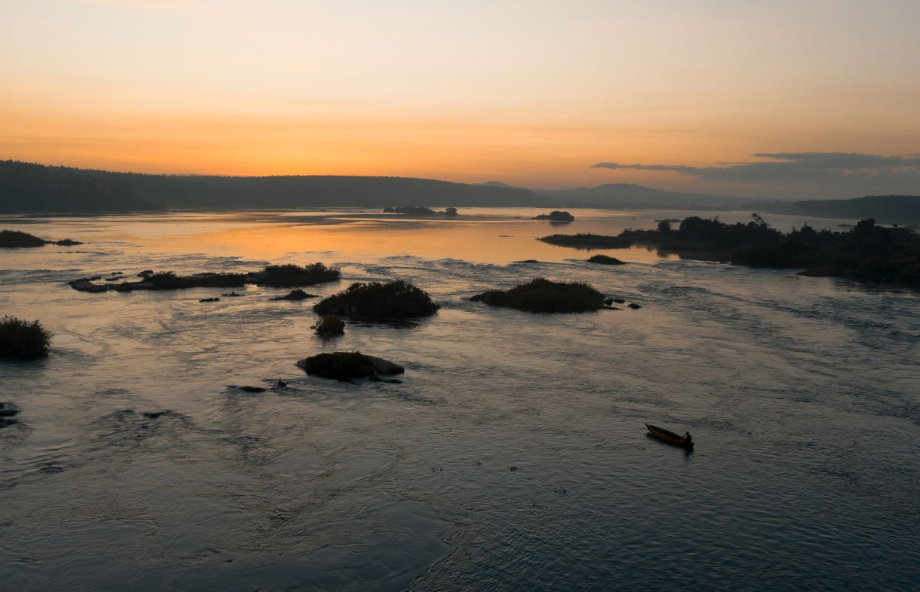 Do Rwanda Tour Operators Buy Uganda Gorilla Permits