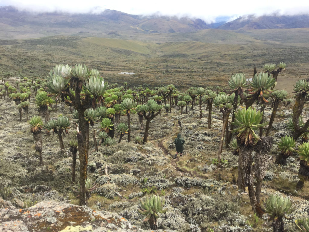 What To Wear On Your Visit To Mount Elgon National Park In Uganda?