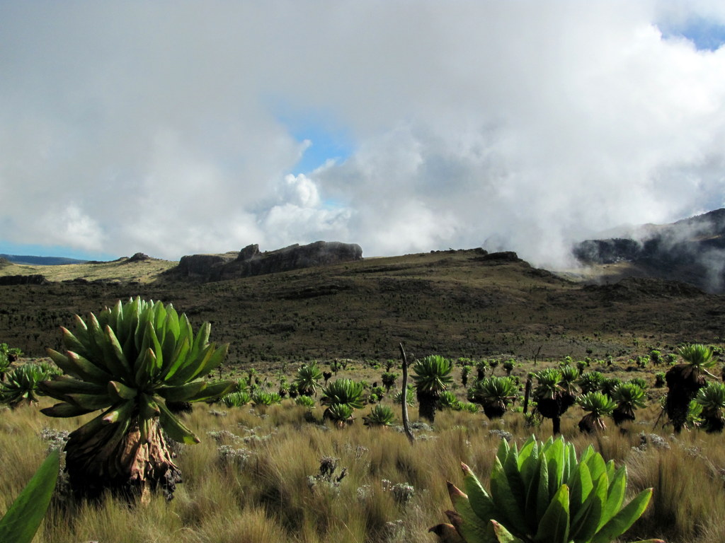 Why Visit Mount Elgon National Park
