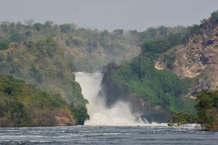5 Day Murchison Falls And Budongo Chimpanzee Tracking Safari