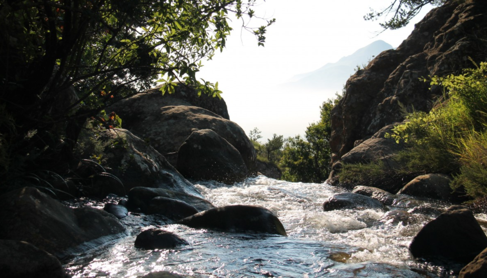 Mugiri River Forest In Semuliki National Park