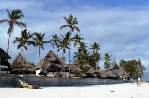 Zanzibar Beach Holidays, Luxury and budget beach safaris in Zanzibar