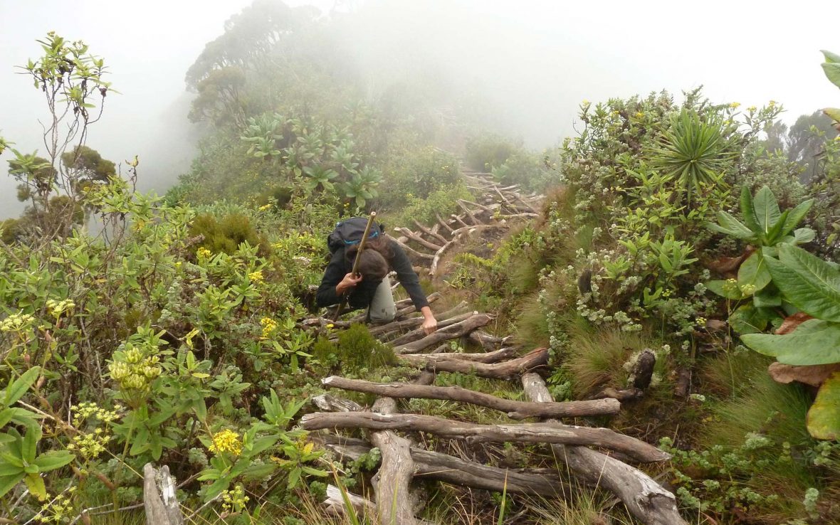 3 Days Sabinyo Volcano Hiking Safari